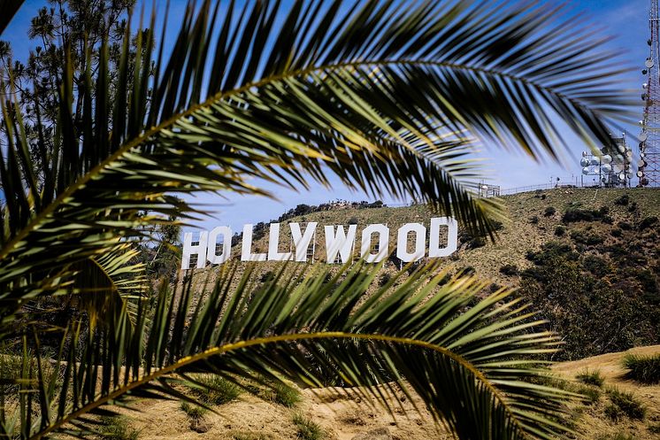 Hollywood Glusea.com