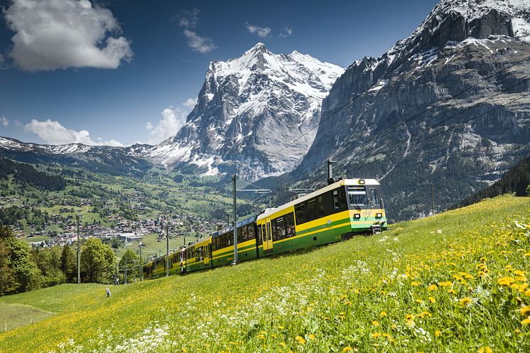 ST_3x2_Grindelwald-Jungfrau-Railways_47348