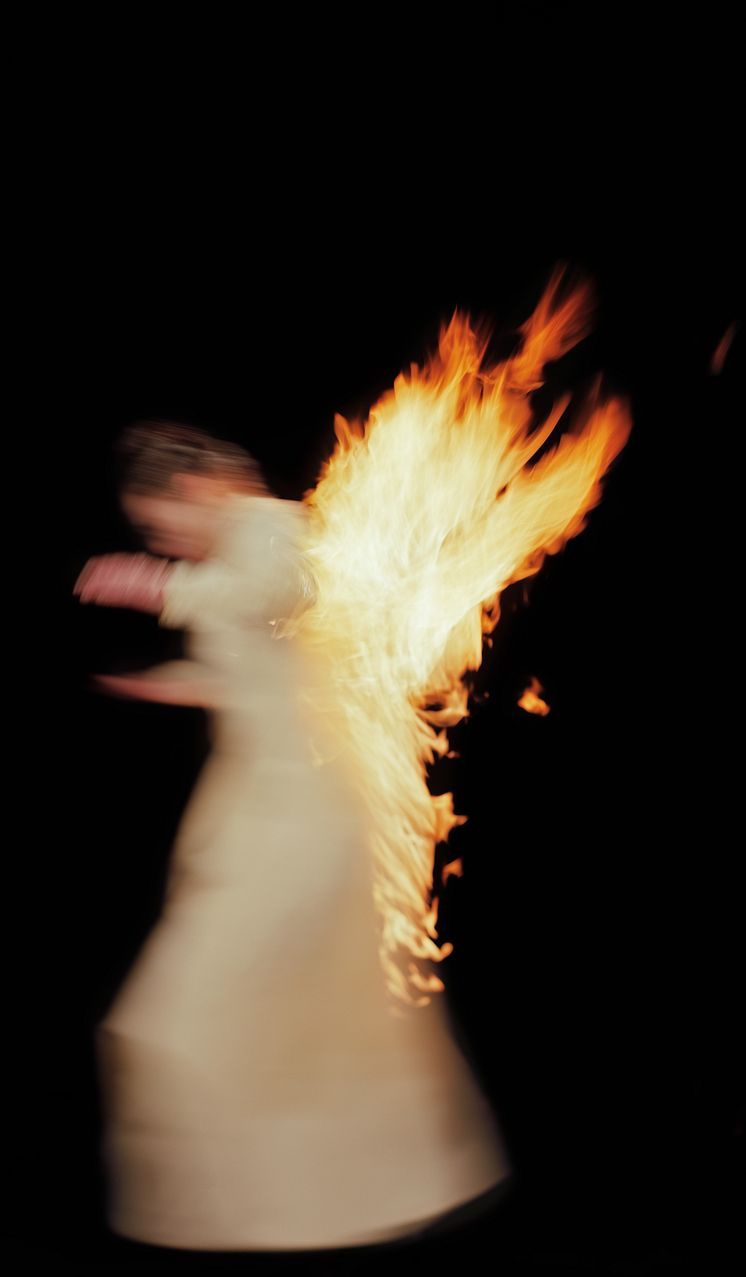Charlotte Gyllenhammar, Night eld 1, 2014.jpg