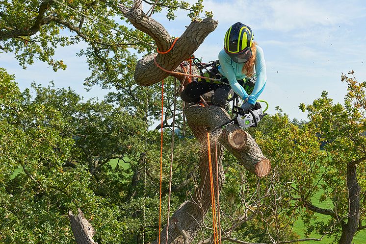 Top_Handle_Chainsaw_Model_Action_A 84_small.jpg