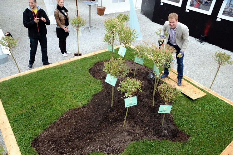 Gustav Fridolin planterar träd i Almedalen 