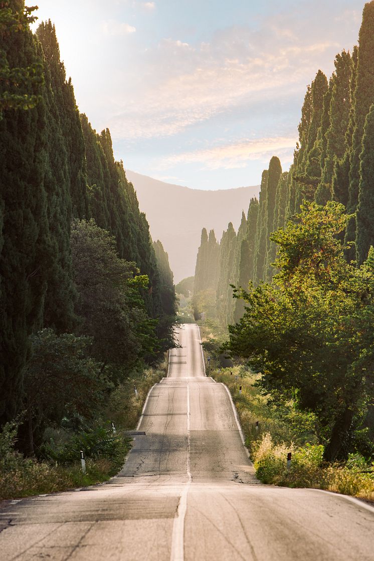 Bolgheri Boulevard - Il Viale dei cipressi (2)