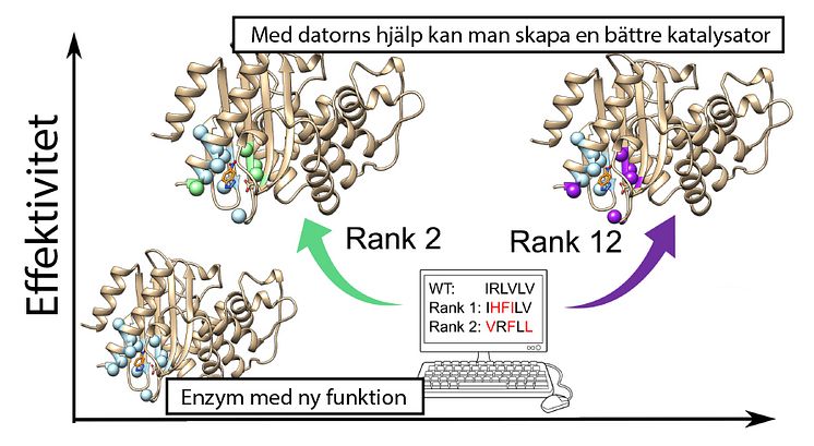 Förhistoriska enzymer