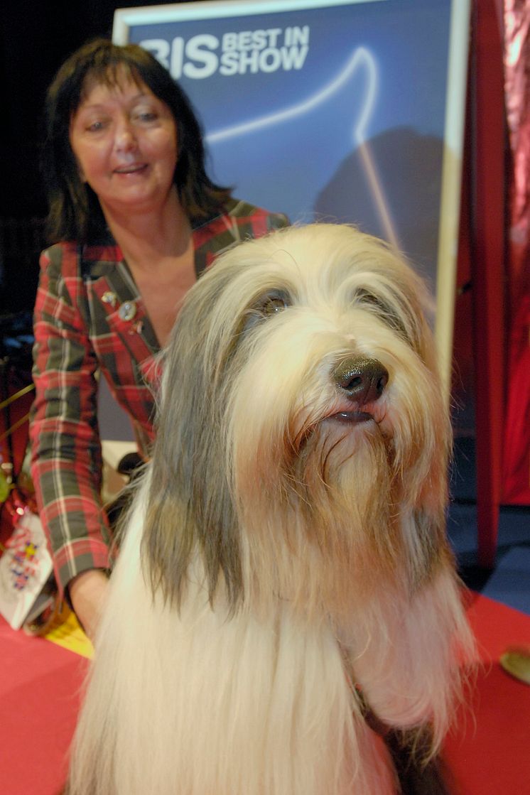 Best in Show på HUND2008