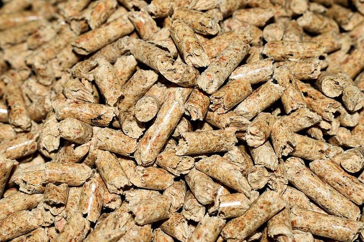 pellets-g0af162bad_1280.jpg