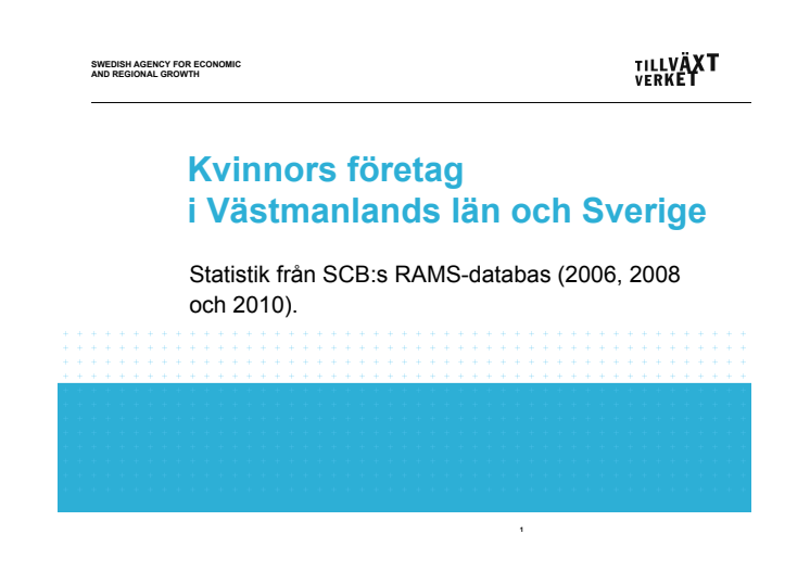 Antal företag som drivs av kvinnor resp män 2006-2010, Västmanland