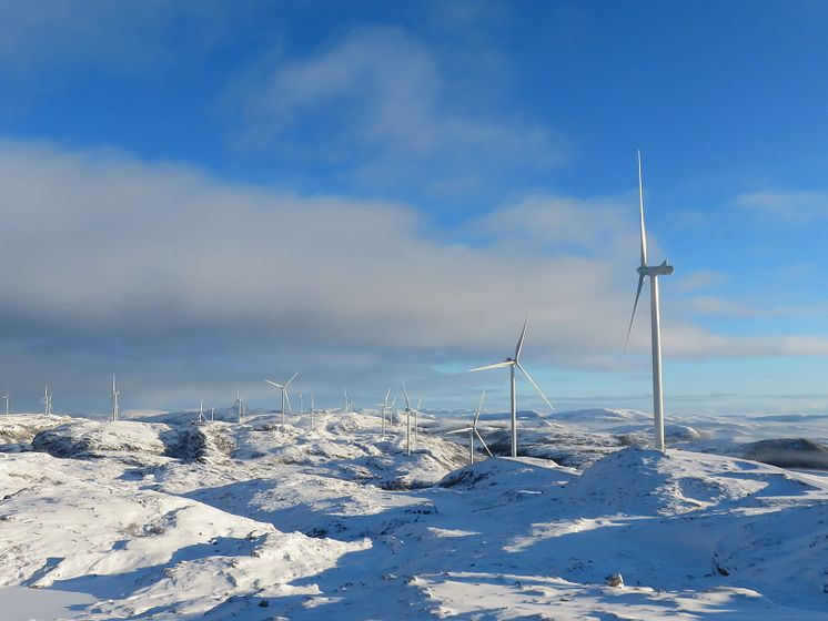 Storheia vindpark, januar 2020