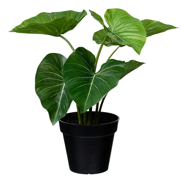 NYHET! Pot plant Philodendron 33 cm Artificial material 9,99 EUR.jpg