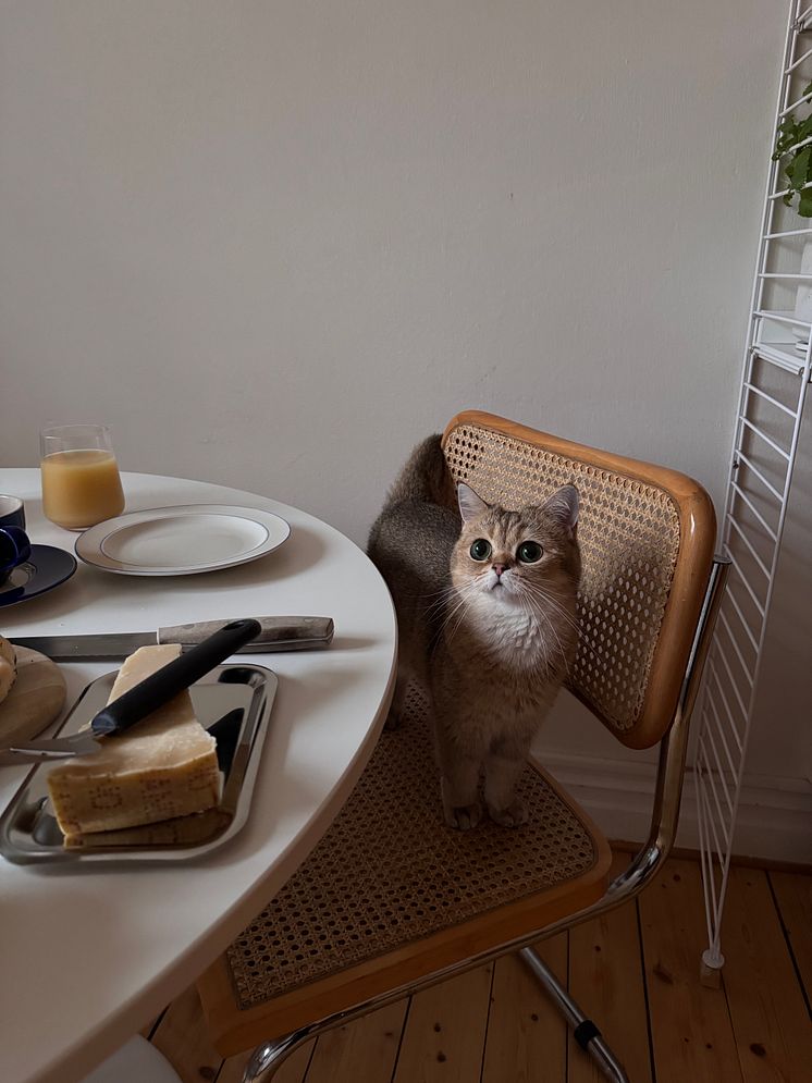 Förra årets vinnare Klara ögnar sina föräldrars frukost.jpeg