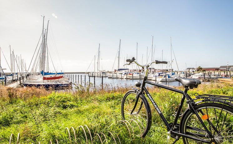 Gislövs hamn_cykel_foto Jenny Brandt