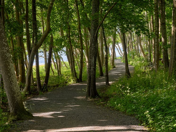 Utstikt fra Jeløya