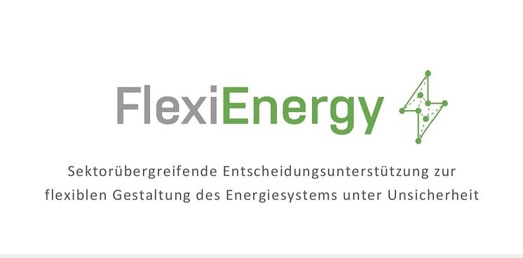 Logo_FlexiEnergy