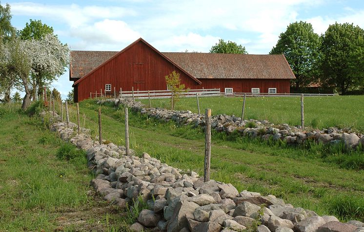 Vallby Sörgården, fägatan