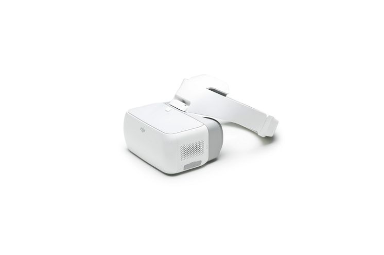 DJI Goggles - 6