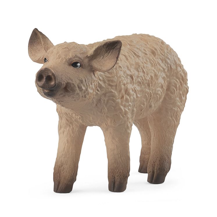 14893_Farm World_Mangalica Piglet_(c)schleich®