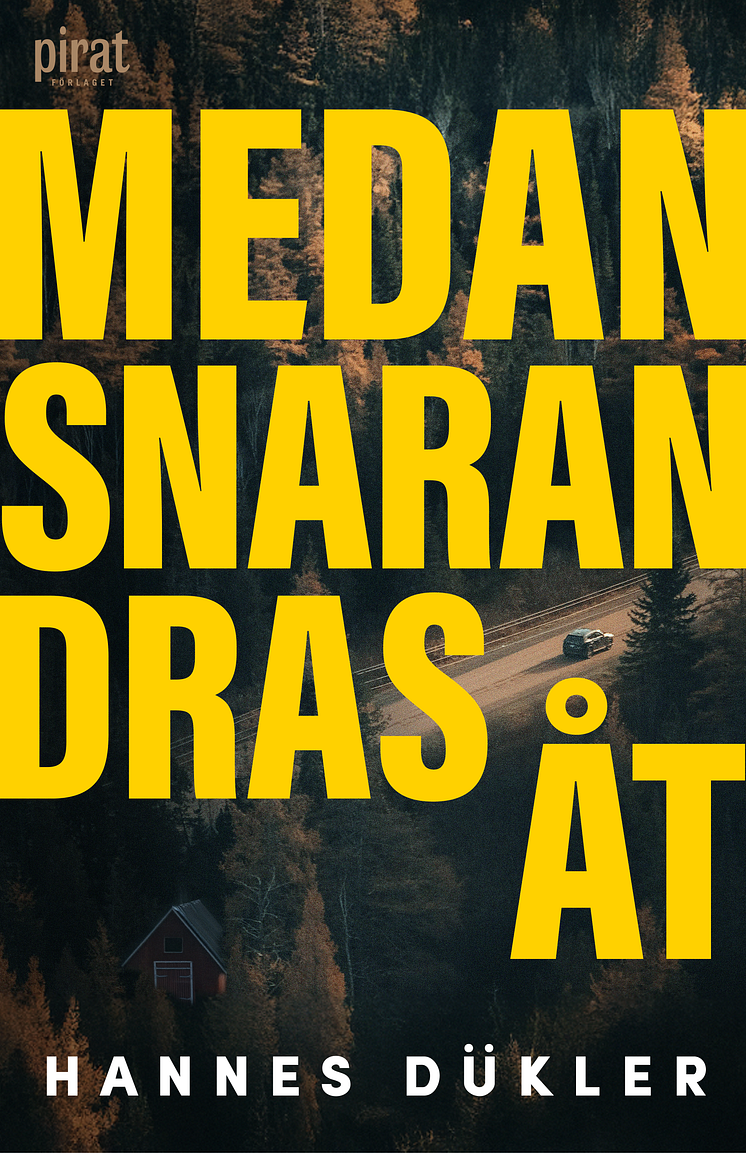 MEDANS 2.png
