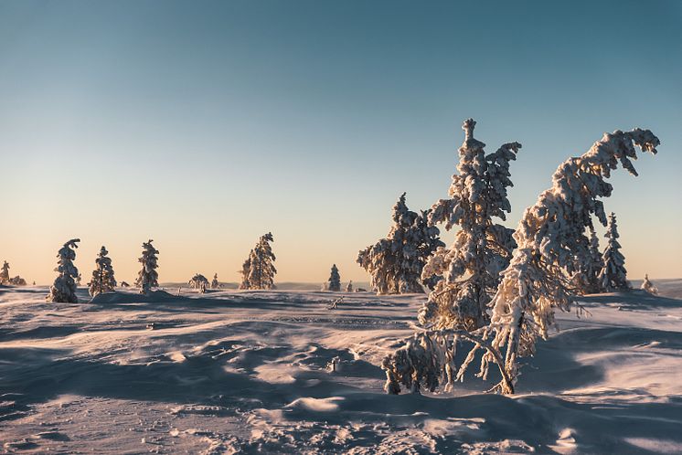 Sälen snö januari 2021