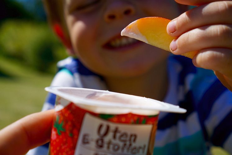 Frukt med Safari barneyoghurt som dip