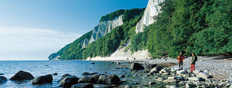 kritklippor på Rügen, ©TMV/ Grunder/ WERK3