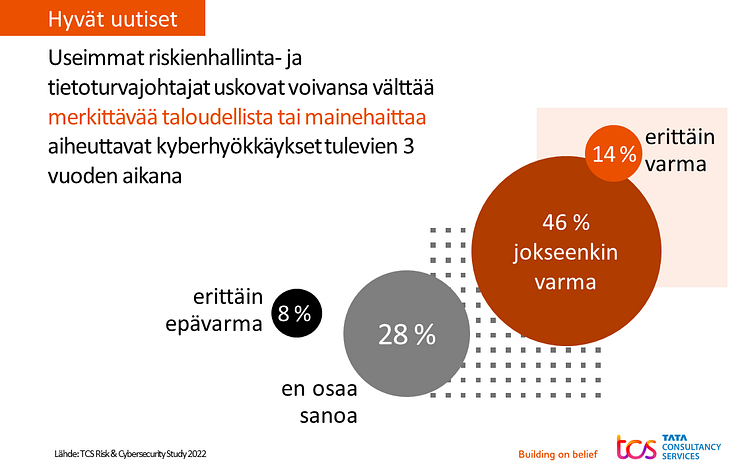 TCS_Risk_and_Cybersecurity_Study_graafi_1