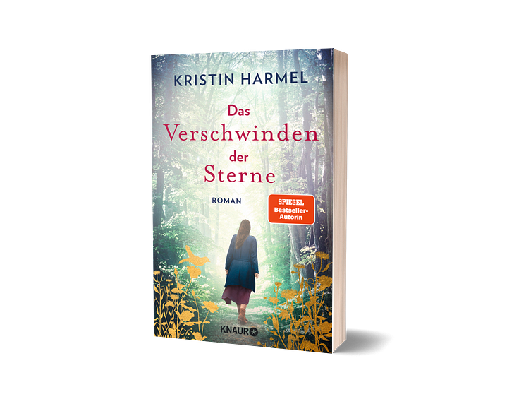 Das Verschwinden der Sterne Cover