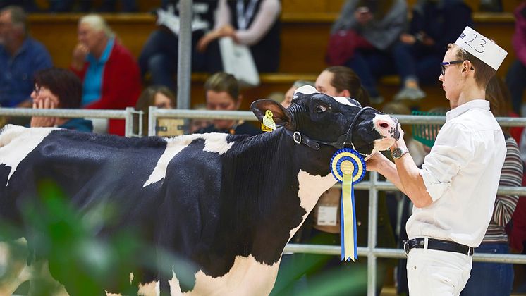 Elmia Lantbruk Djurutställning