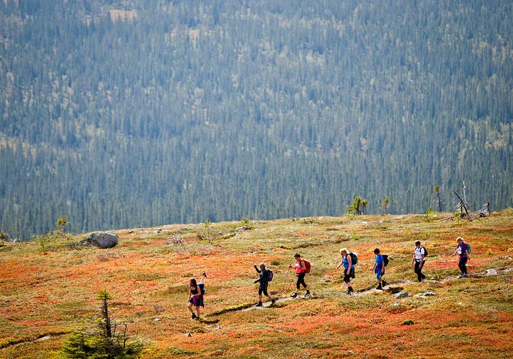 Norges største terrengløp- og marsj for damer