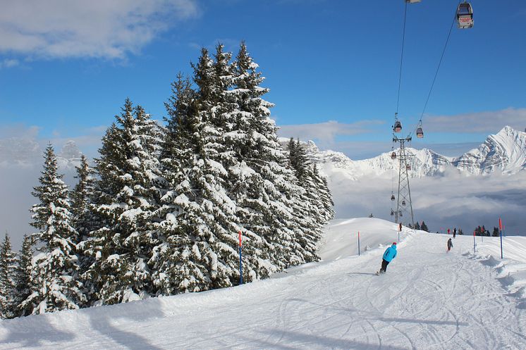 Flumser Berg (Zürich Region)