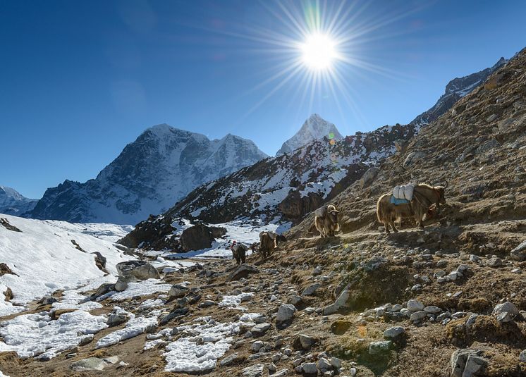 Everest base camp