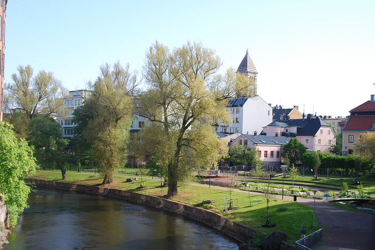 Strömparken i Norrköping