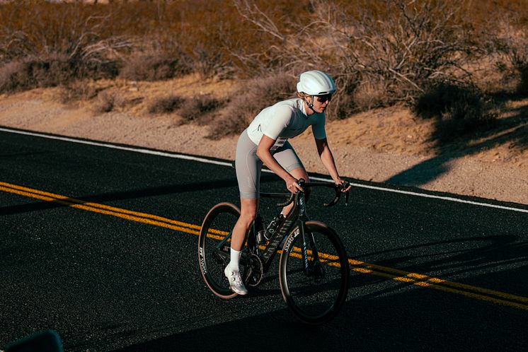 fizik_vega_14.jpg