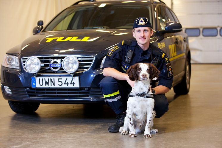 Zak är Årets narkotikasökhund 2014