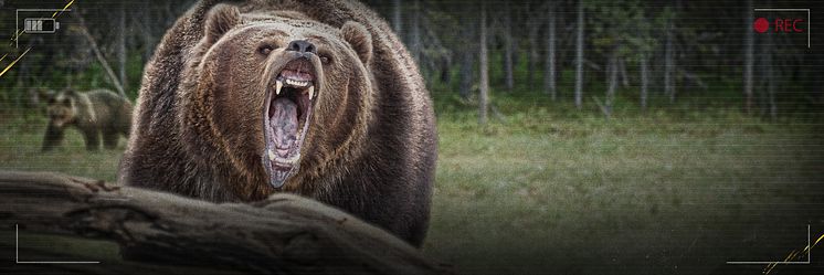 AE_Nature_Gone_Wild_2400x800_FIN