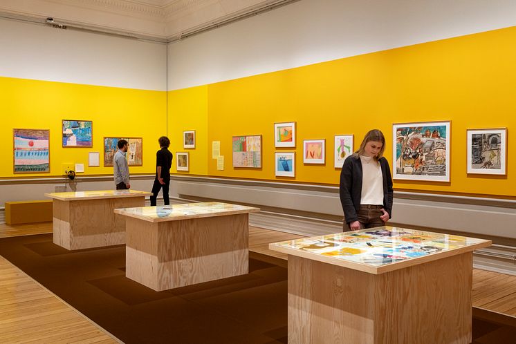 Installationsbild, Lillhagen i färg