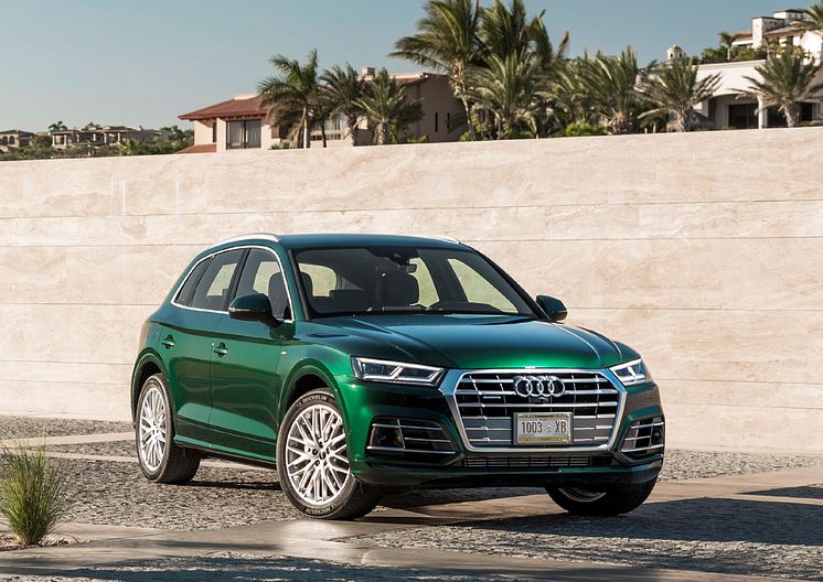 Audi Q5 Azores green