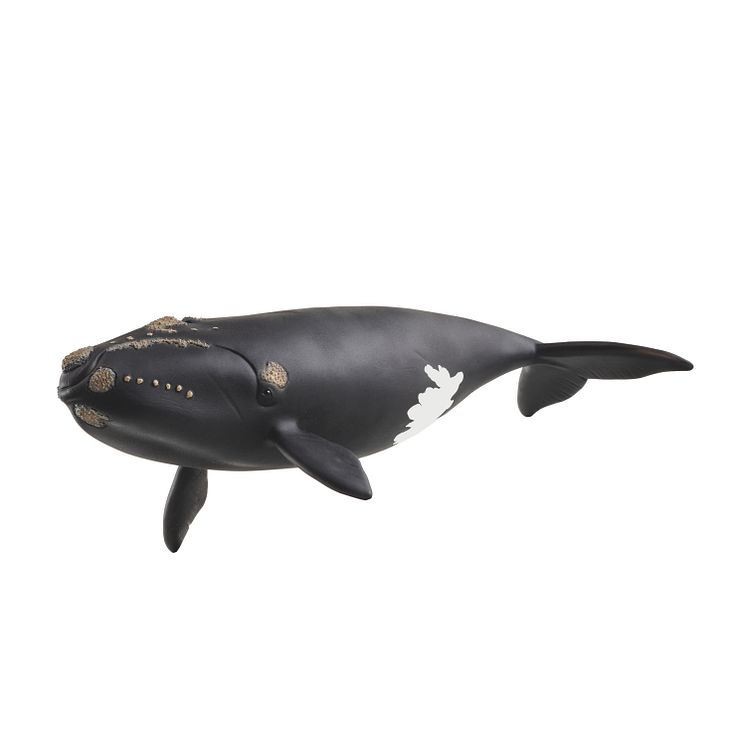 14878_Wild Life_North Atlantic Right Whale_(c)schleich®