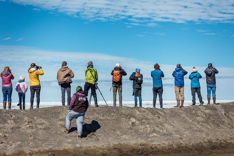 Courtesy_Utqiavik_Migratory_Bird_Festival.jpg