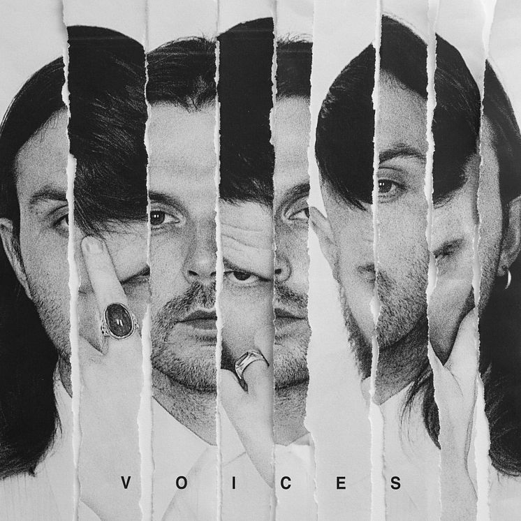 voicescover2