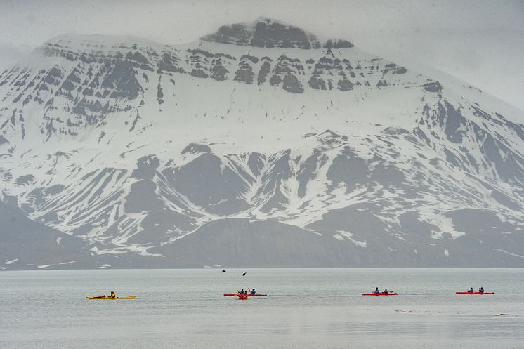 Bamsebu-Svalbard-HGR-146295- Photo_Dr._Verena_Meraldi