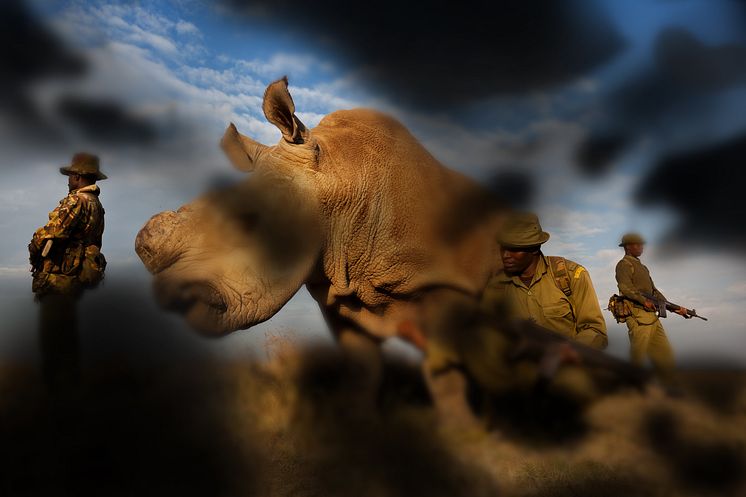 BrentStirton_DiabeticRetinopathy