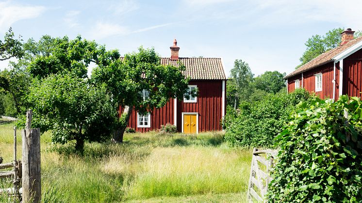 Mäklarkollen Köparkollen juni