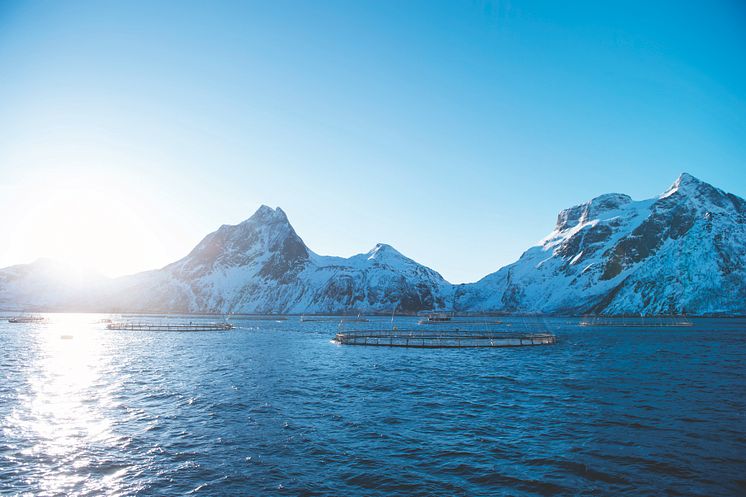 Vor über 40 Jahren entstand die erste Aquakulturanlage in Norwegen. Die lange Erfahrung und die Zusammenarbeit von Fischerei, Wissenschaft und Staat machen Norwegen heute zum internationalen Vorreiter in der nachhaltigen Lachszucht.