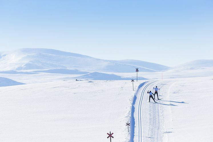 Längdåkning på högfjäll