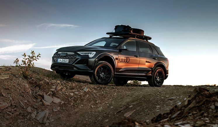 Audi_Q8_dakar