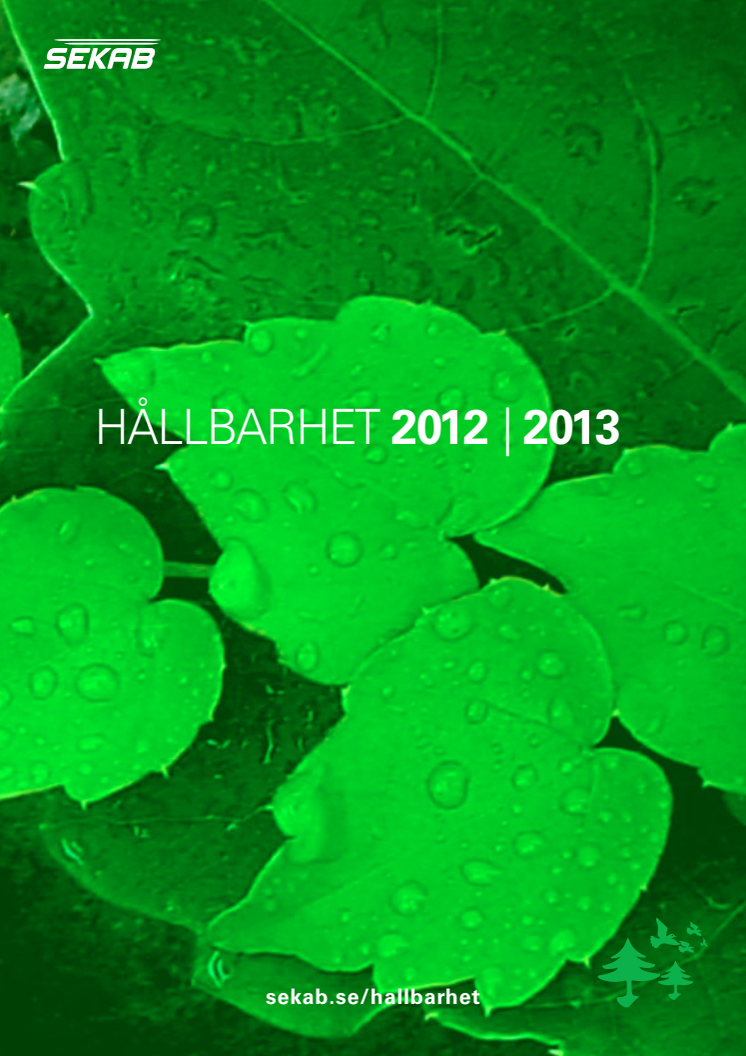 Hållbarhet en ren resursfråga. SEKABs Hållbarhetsredovisning 2012 - 2013