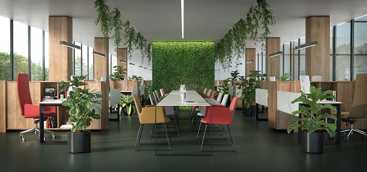 Dekton Office - Feroe