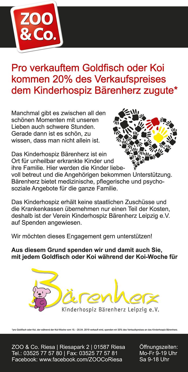 Goldfische und Kois im Einsatz für Bärenherz: Zoo & Co. Riesa unterstützen mit einer Spendenaktion das Kinderhospiz