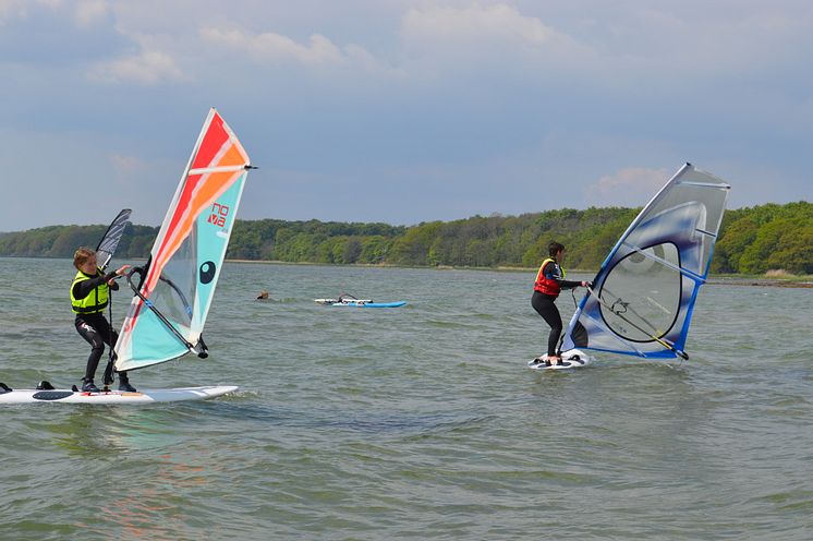 Vandaktiviteter ved Hou Havn