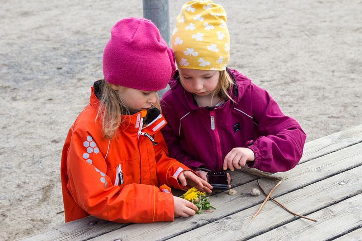 Elever utforskar och visar sin närmiljö med foto