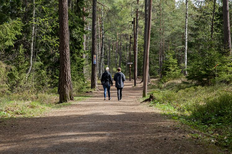 Vallentuna Idrottsplats motionsspår